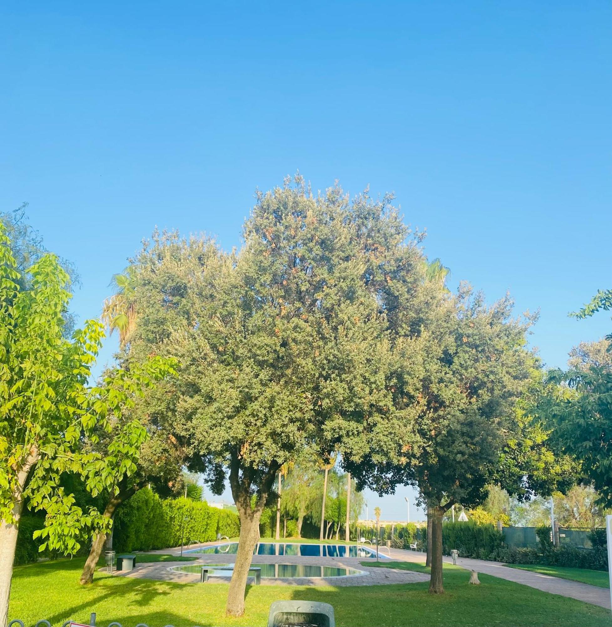 Studio Palomar - Palomargroup Alfara Del Patriarca Εξωτερικό φωτογραφία